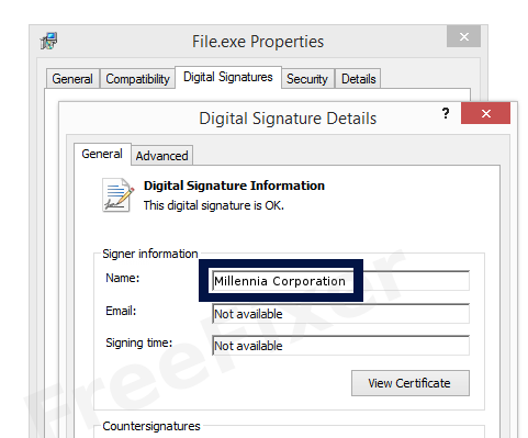 Screenshot of the Millennia Corporation certificate